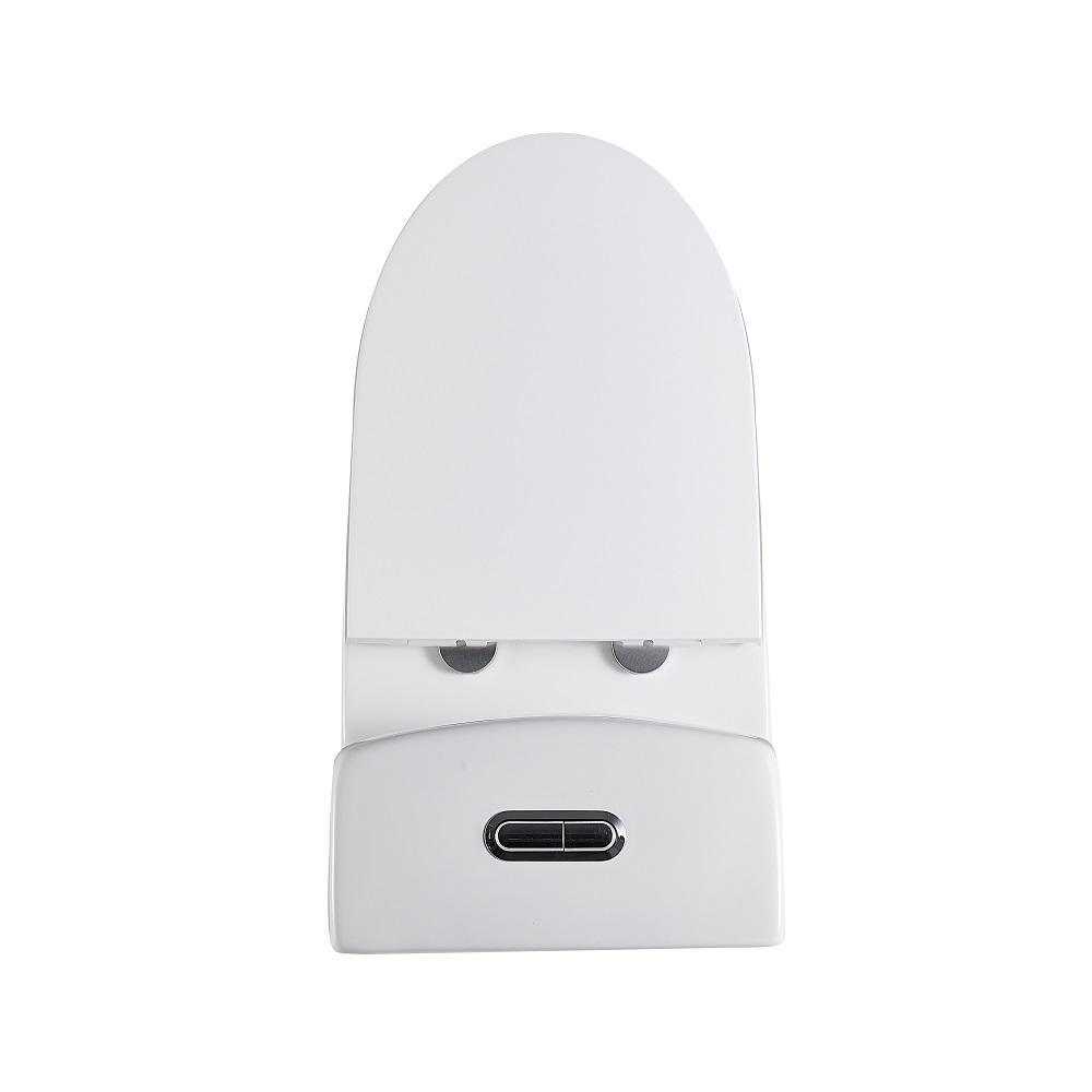 1-piece 1.28 GPF Dual Flush High Efficiency Elongated Toilet in White(Seat Included)