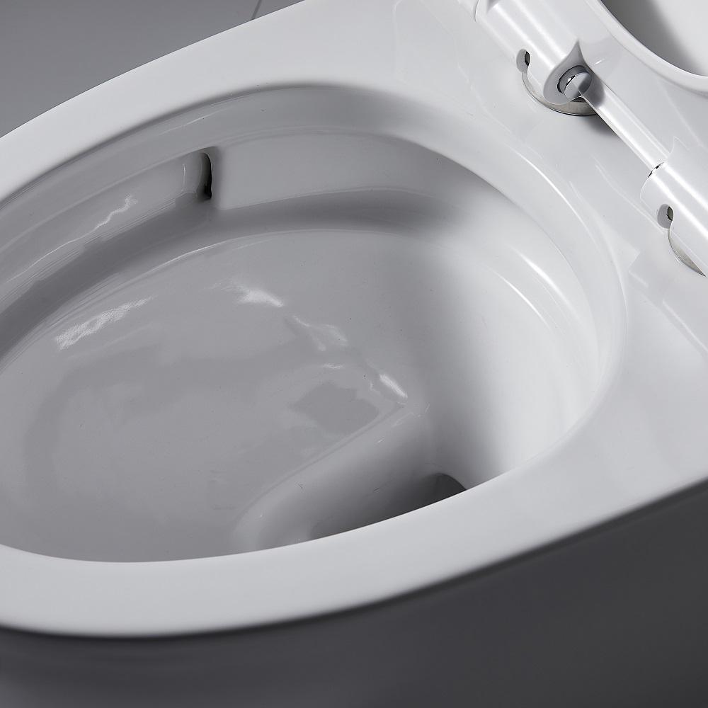 1-Piece 1.28 GPF Dual Flush High Efficiency Elongated Toilet in White, Seat Included